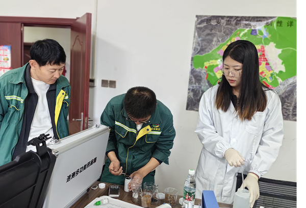 茄子视频污淫黄下载技术指导与操作培训